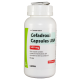 Cefadroxil 500mg Cap 100ct