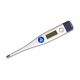 Economy Digital Thermometer