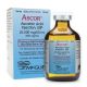 ASCOR® Vitamin C Ascorbic Acid 500 mg/ml  50ml