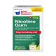 GNP NICOTINE 4 MG COATED MINT GUM 20CT